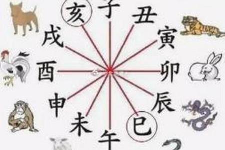 八字子女