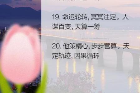 关于算命的3个小故事，看完第3个才恍然大悟