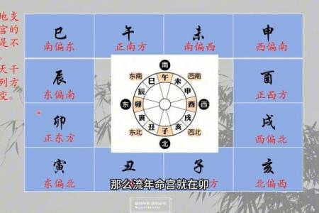 东有小山紫薇斗数7