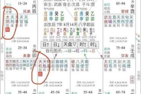 文墨天际紫薇斗数