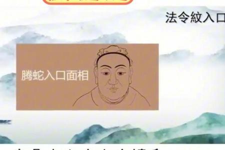 从法令纹看相算命