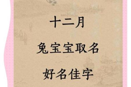 怎么给属兔丑时出生的男孩取名好姓名