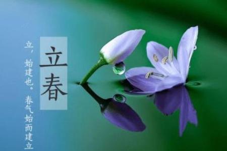 八字算命如何定立春