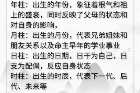 生命八字