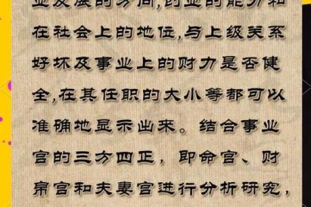 紫薇斗数中禄