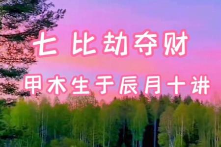 八字比财