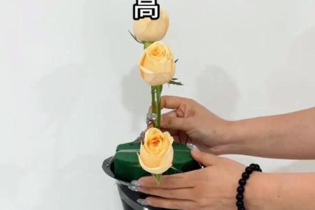 玫瑰插花风水