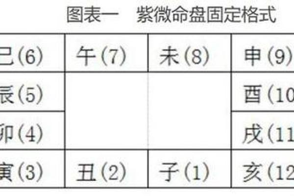 神巴巴紫薇斗数排盘