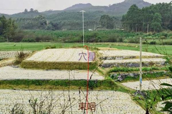 坟墓风水_坟墓父登子肩的说法