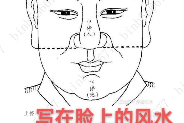 怎么看风水了