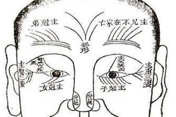 头发算命,头发向前倒的人的面相分析