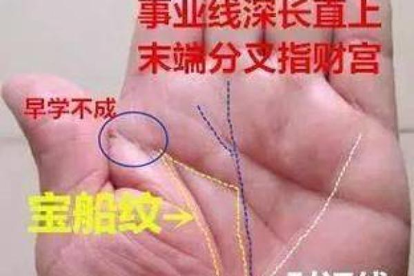 财运线是哪一条？财运线算命图解