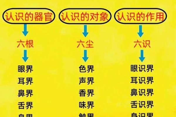 深度解析以太极易理八字，掌握易理精髓