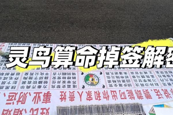 鸟拉屎在身上算命