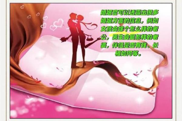 八字详解与人争夫，揭开婚姻关系迷局