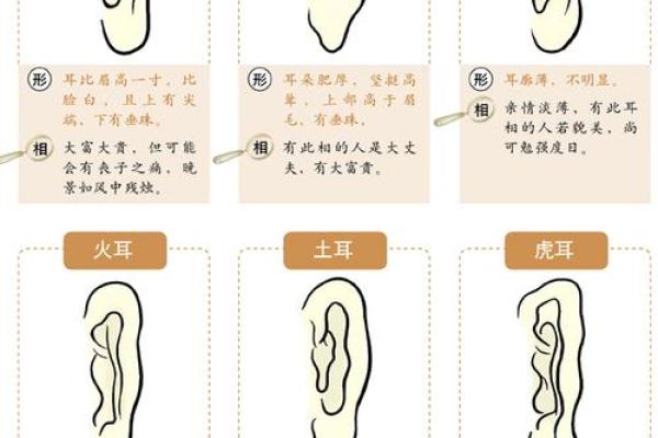 耳朵风水里代表什么