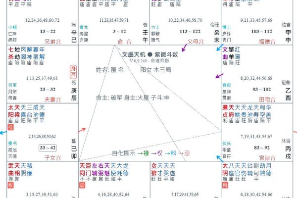 紫薇斗数天梁