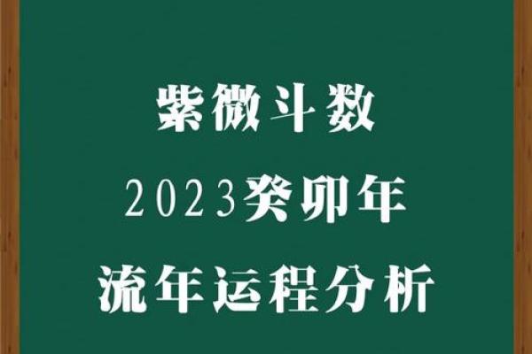 东派紫微斗数 东派紫微斗数王星东简介？