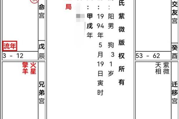 紫微斗数身宫算命 紫微斗数身宫是什么意思？