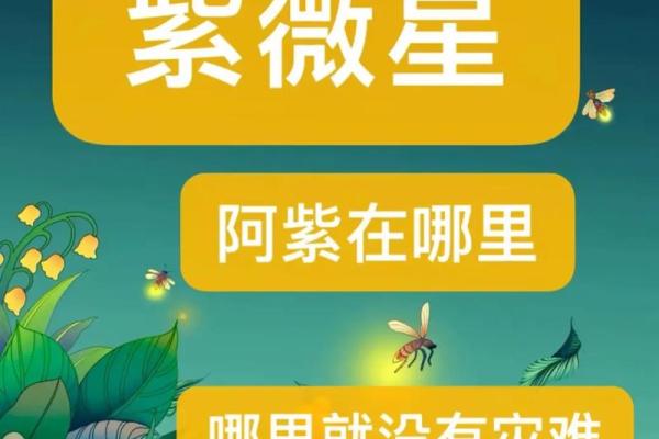 紫薇星明什么意思