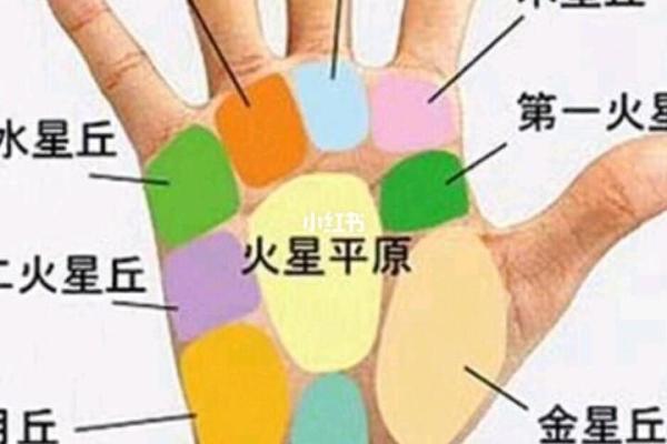 出轨女人的八字标志有哪些