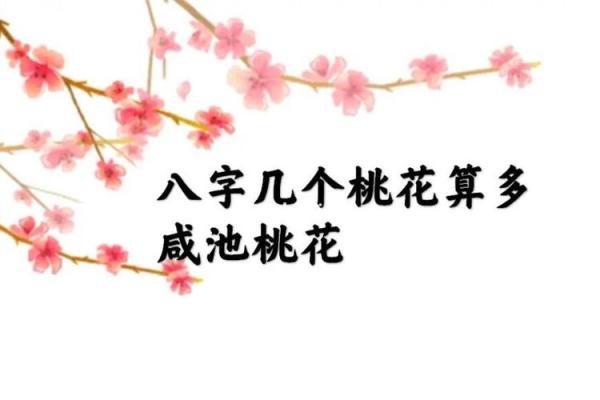 八字桃花