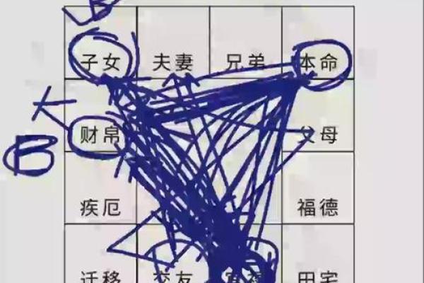 紫薇斗数流禄