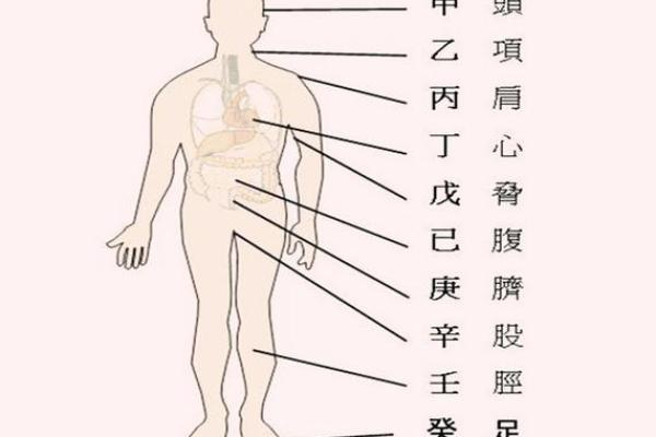 八字疾病