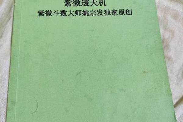 薛琴紫薇斗数