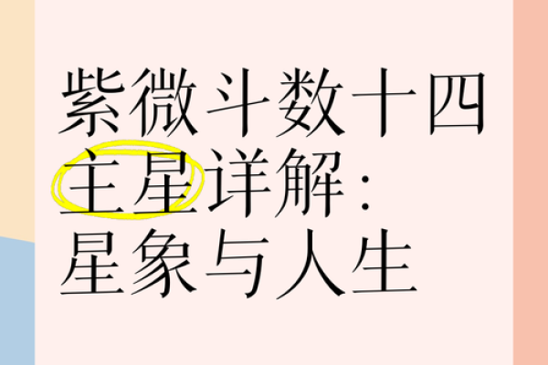 天机紫薇斗数长相