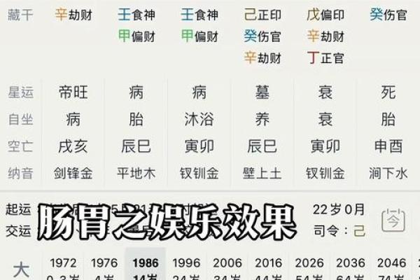 四柱八字疾病全解