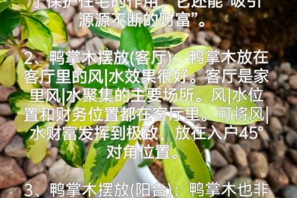 风水真正能催财运的方法有哪些讲究