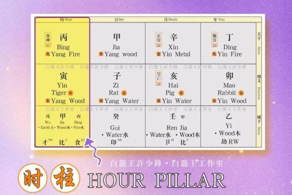八字人生运势曲线图