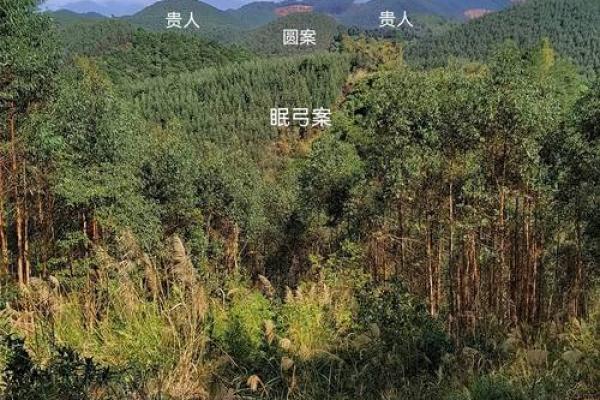 如何选择风水好的公墓详细讲解