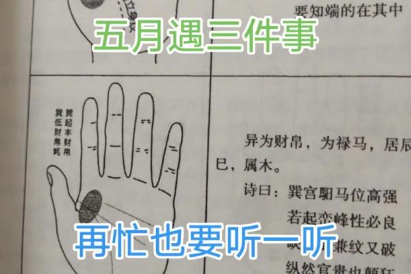属猴子时出生的男孩要怎样取名字，宜用哪些字姓名