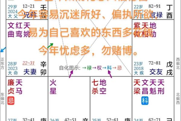 紫薇斗数看运势