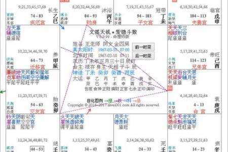 紫薇斗数怎么定星斗