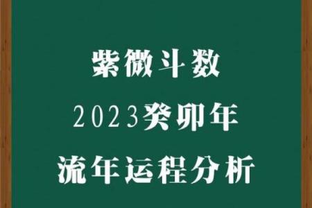 东派紫微斗数 东派紫微斗数王星东简介？