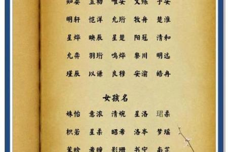 5月份出生的属兔女孩起什么名字好姓名