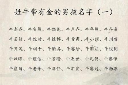 下午3点出生的属牛男孩怎么取名好姓名