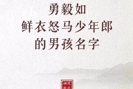 2019年3月29号子时出生的男孩要怎么起名字姓名