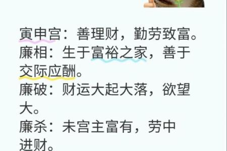 紫微斗数排盘廉贞星坐兄弟宫,廉贞星坐兄弟宫的意义