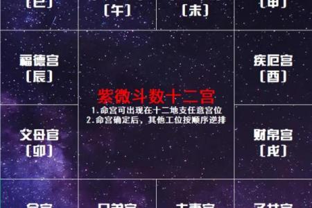 迁移宫看在外吉凶#紫微斗数教学
