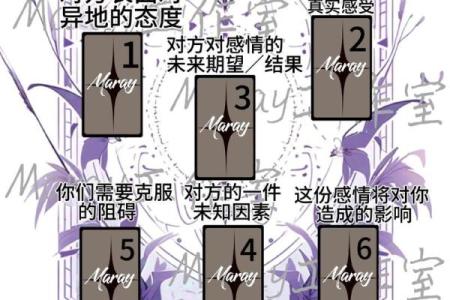 塔罗测试：异地恋考验的是什么？