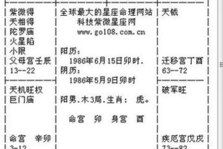 紫薇斗数自化禄