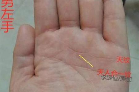 风水断掌的男人的命好不好