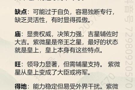 紫薇斗数乙级星含义