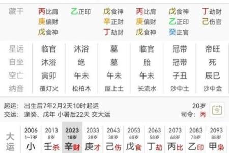 王菲2009八字分析及运势预测