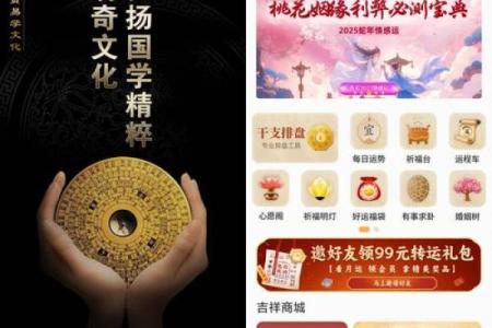 八字算命排盘软件咋开发