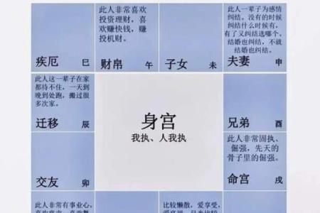 命宫八字